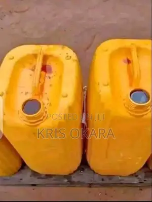 Premium Palm Oil 25L