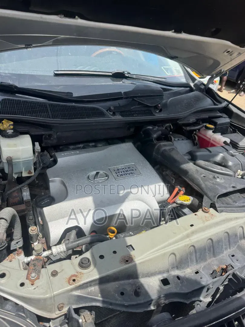 Lexus RX 350 2010 Silver