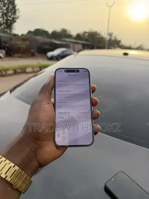 Apple iPhone 16 Pro 256 GB Silver