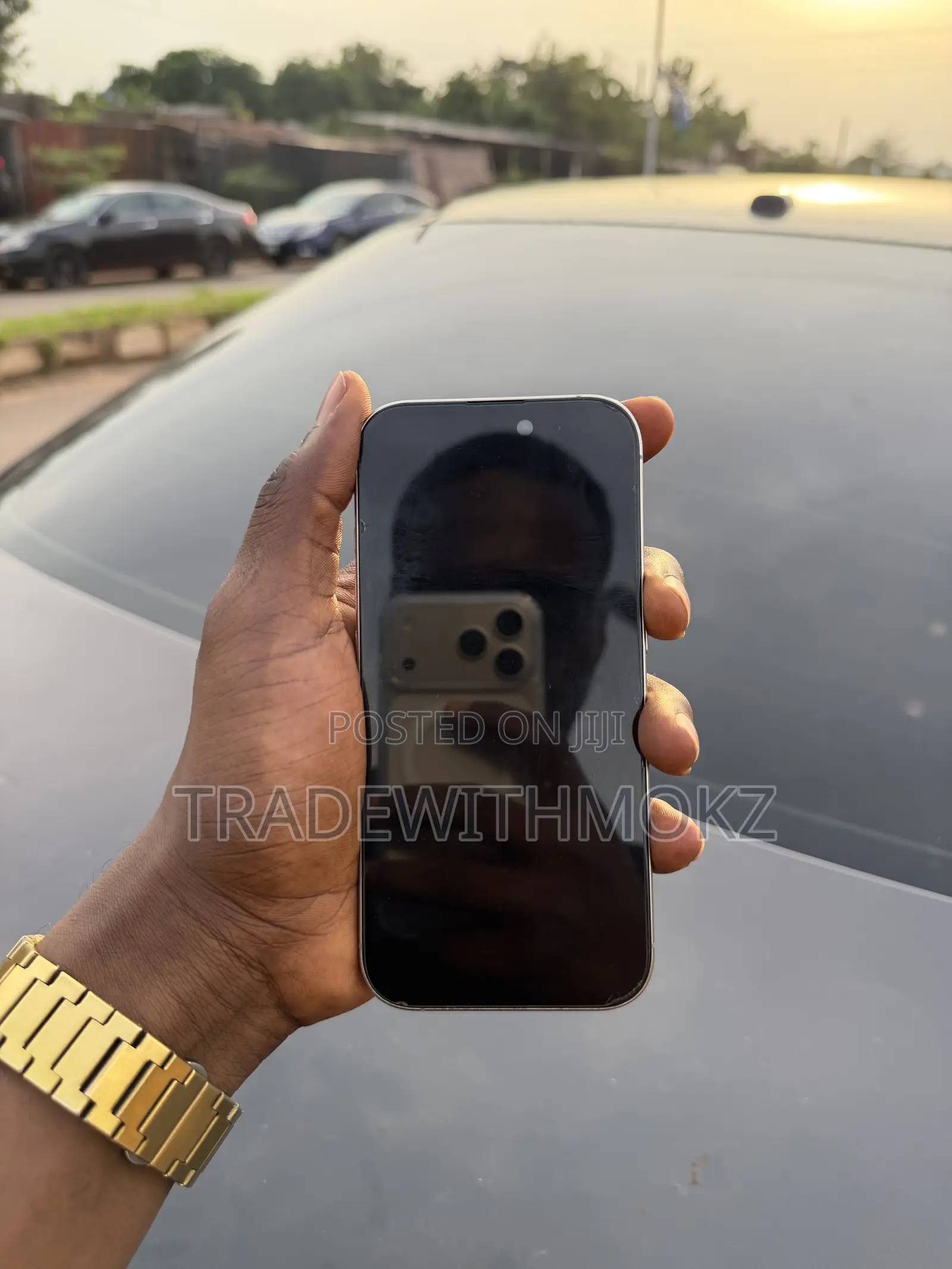 Apple iPhone 16 Pro 256 GB Silver