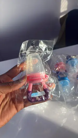 Baby Fruit Feeder Pacifier