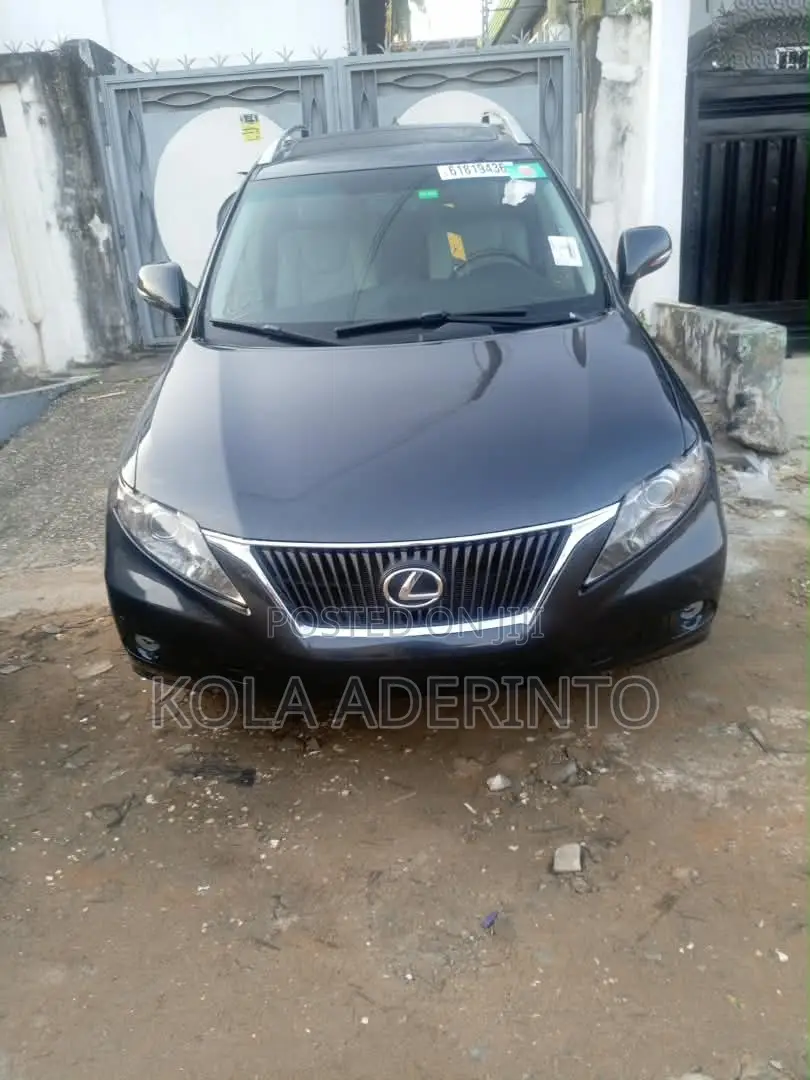 Lexus RX 350 2010 Gray