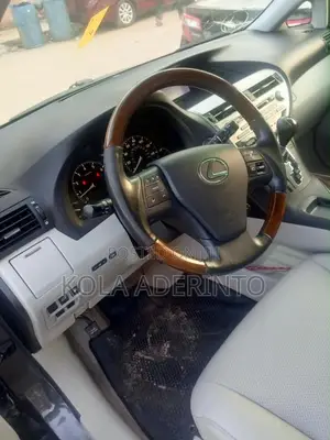 Lexus RX 350 2010 Gray