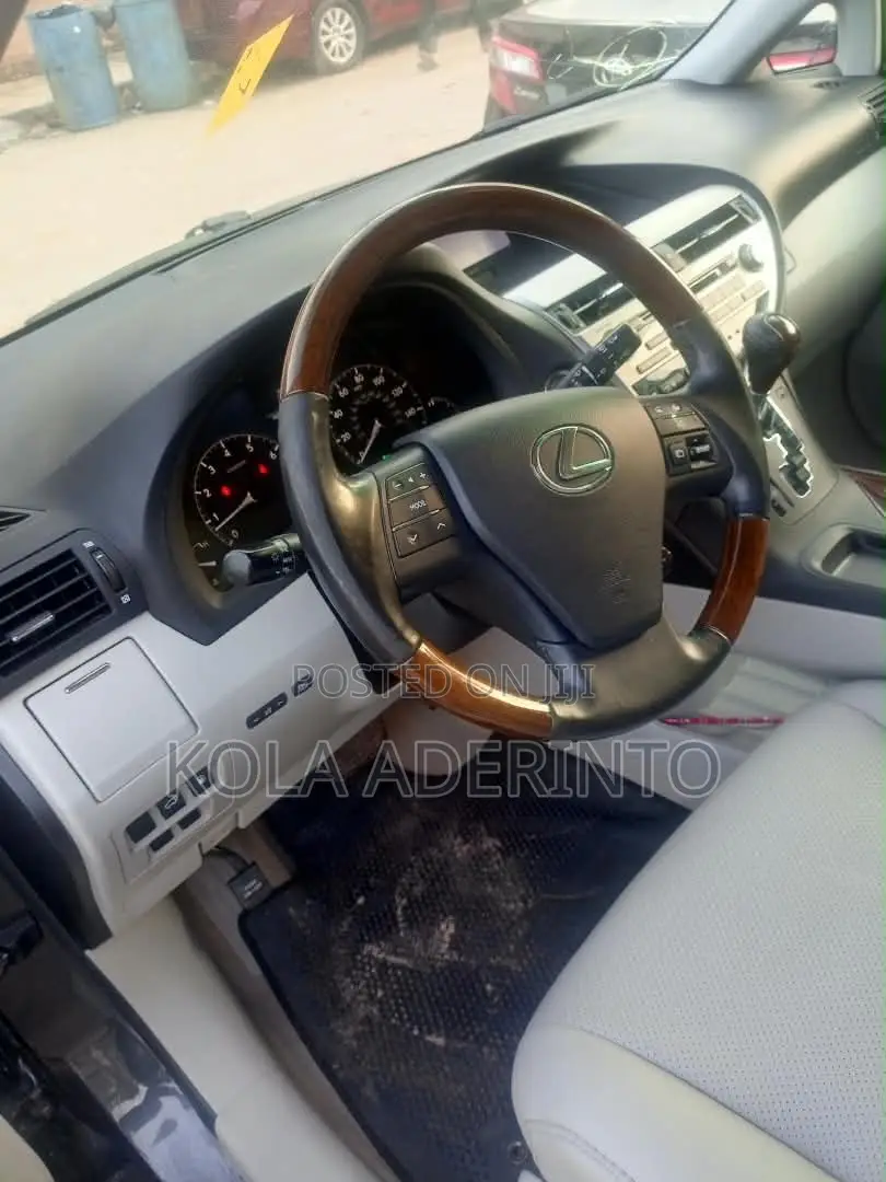 Lexus RX 350 2010 Gray