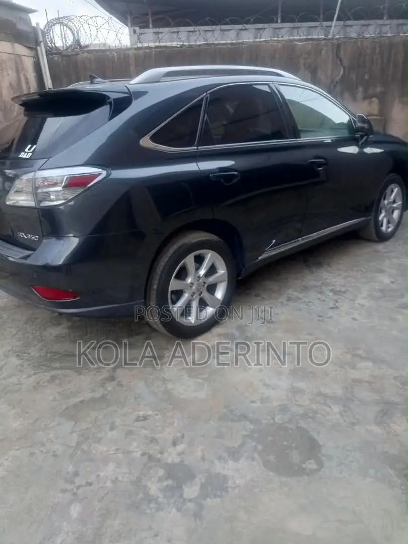 Lexus RX 350 2010 Gray