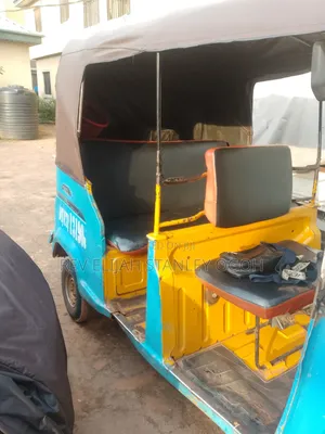 Tricycle 2024 Blue