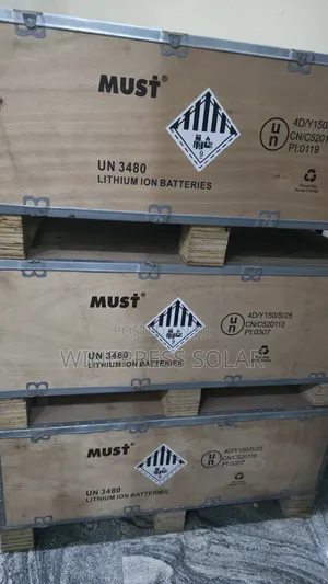 Must Lifepo4 Battery Lithium Batteries