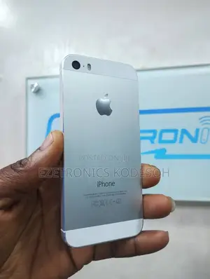 Apple iPhone 5s 16 GB Silver
