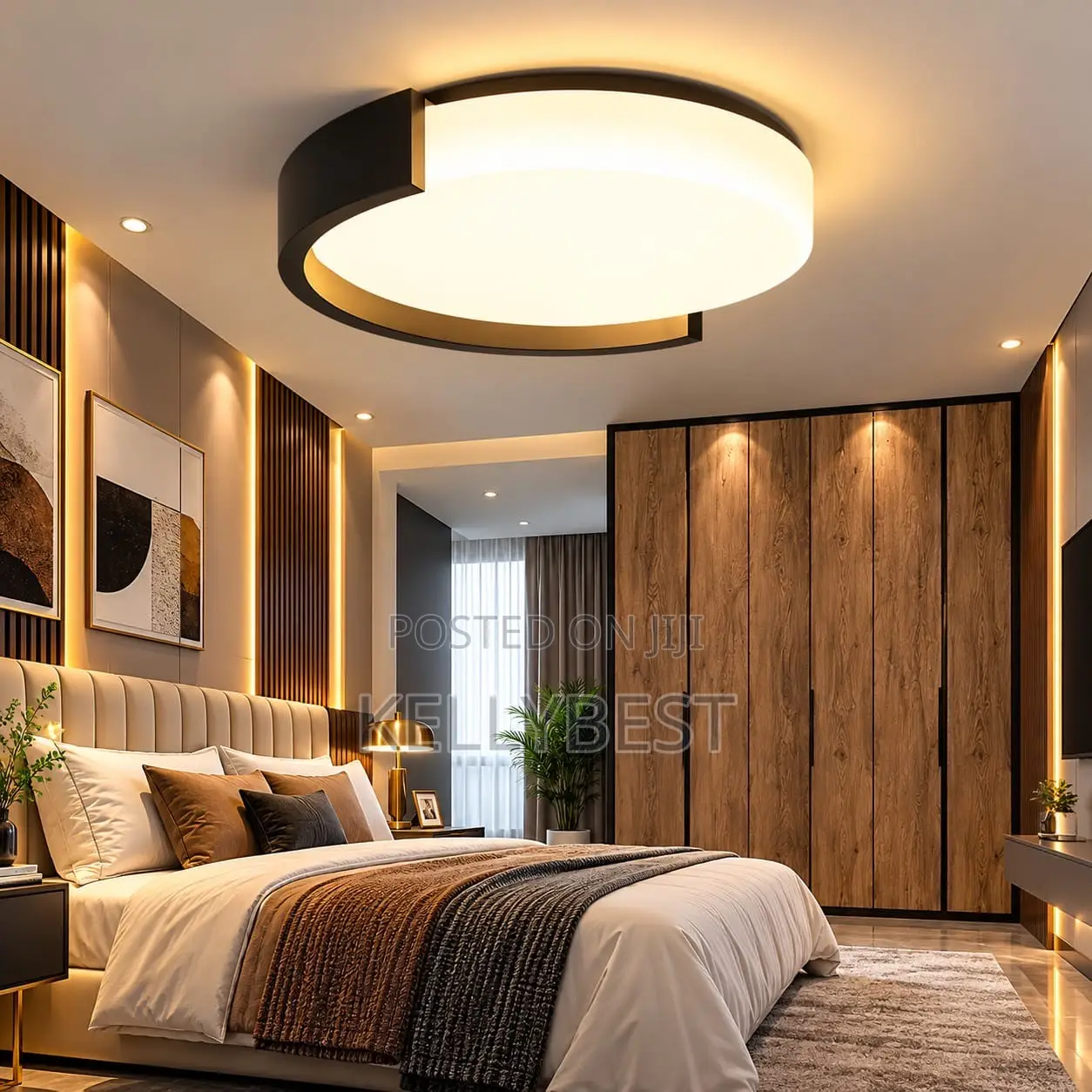 Morden Ceiling Light