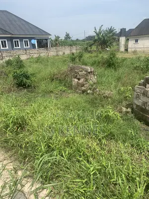 Land Alerts 100x50 for Sale at Ughelli Ekredjebor Pipeline Developed