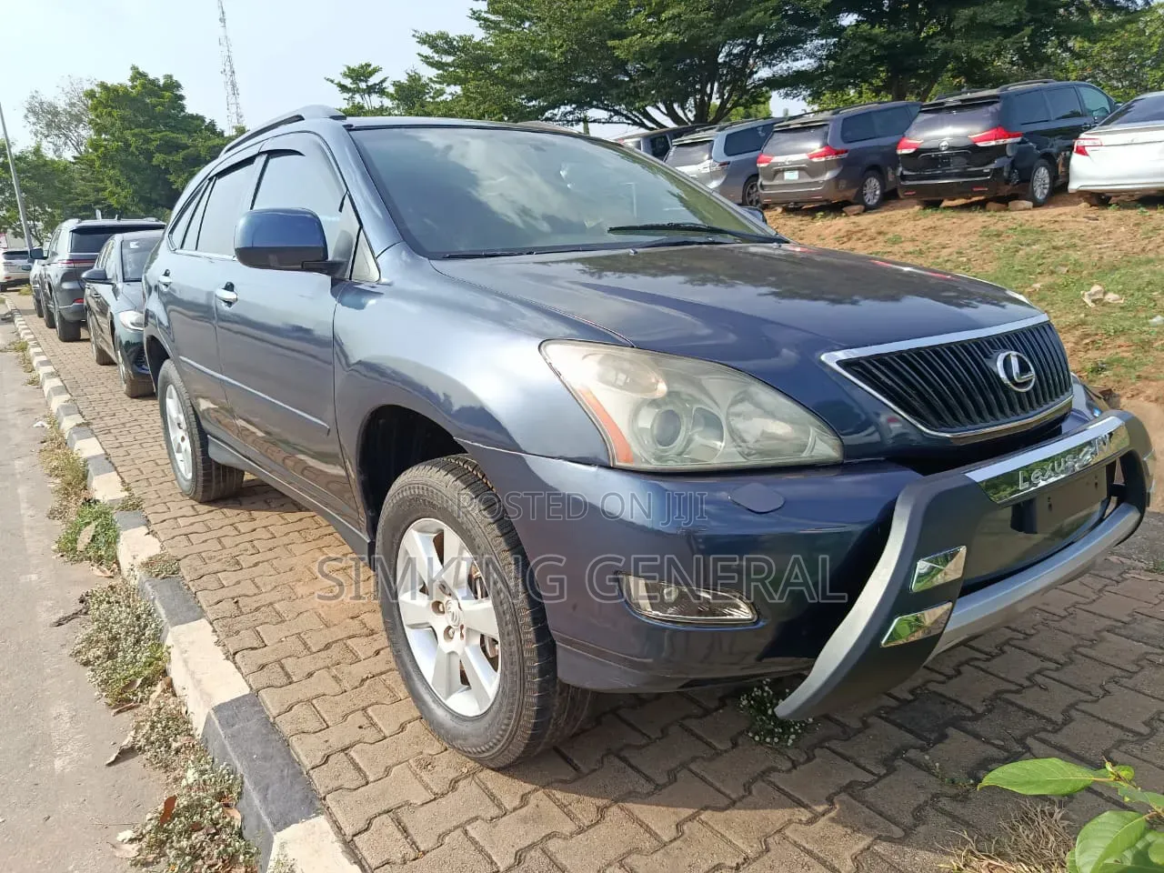 Lexus RX 330 2006 Blue