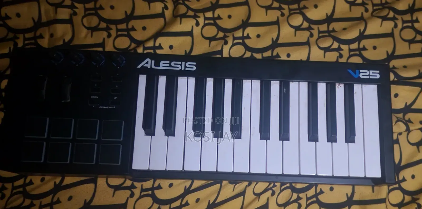 Alesis V25 Keyboard (Fairly Used)