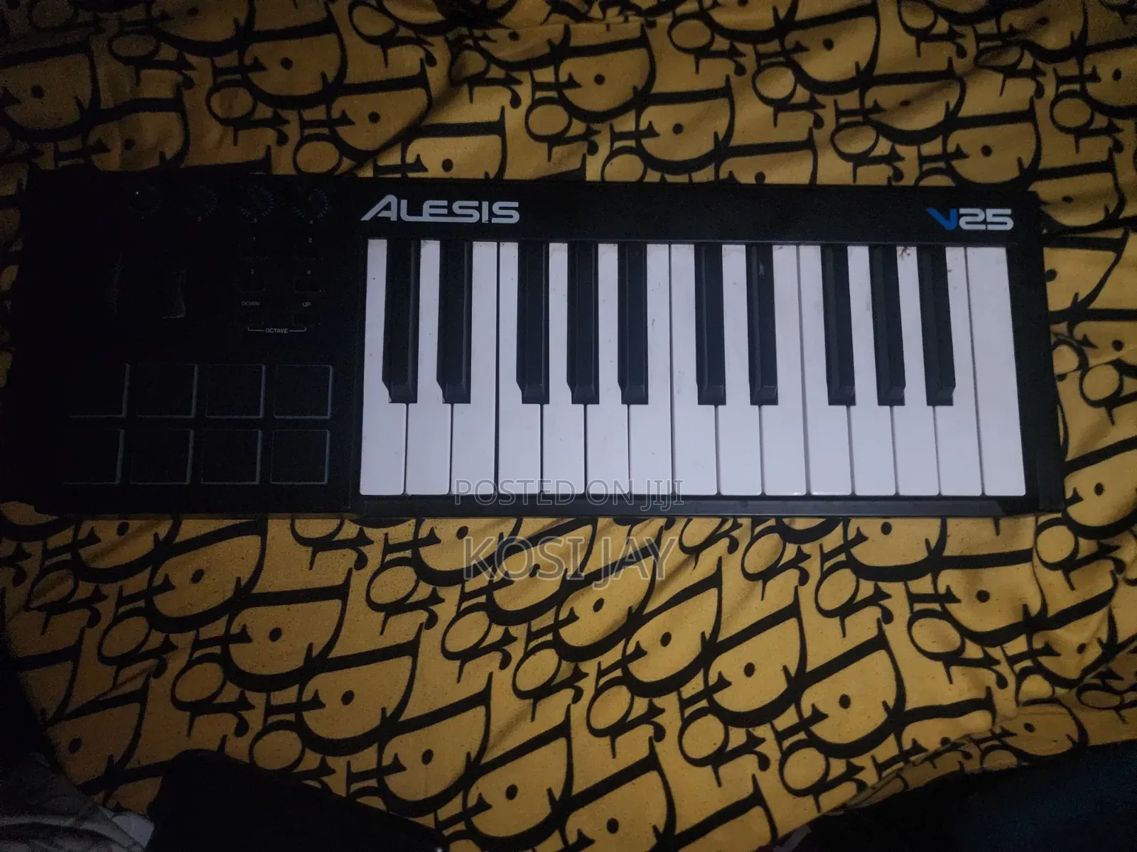 Alesis V25 Keyboard (Fairly Used)