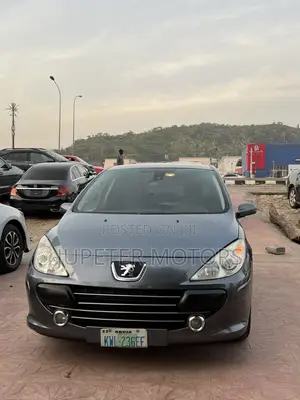 Peugeot 307 2007 Gray