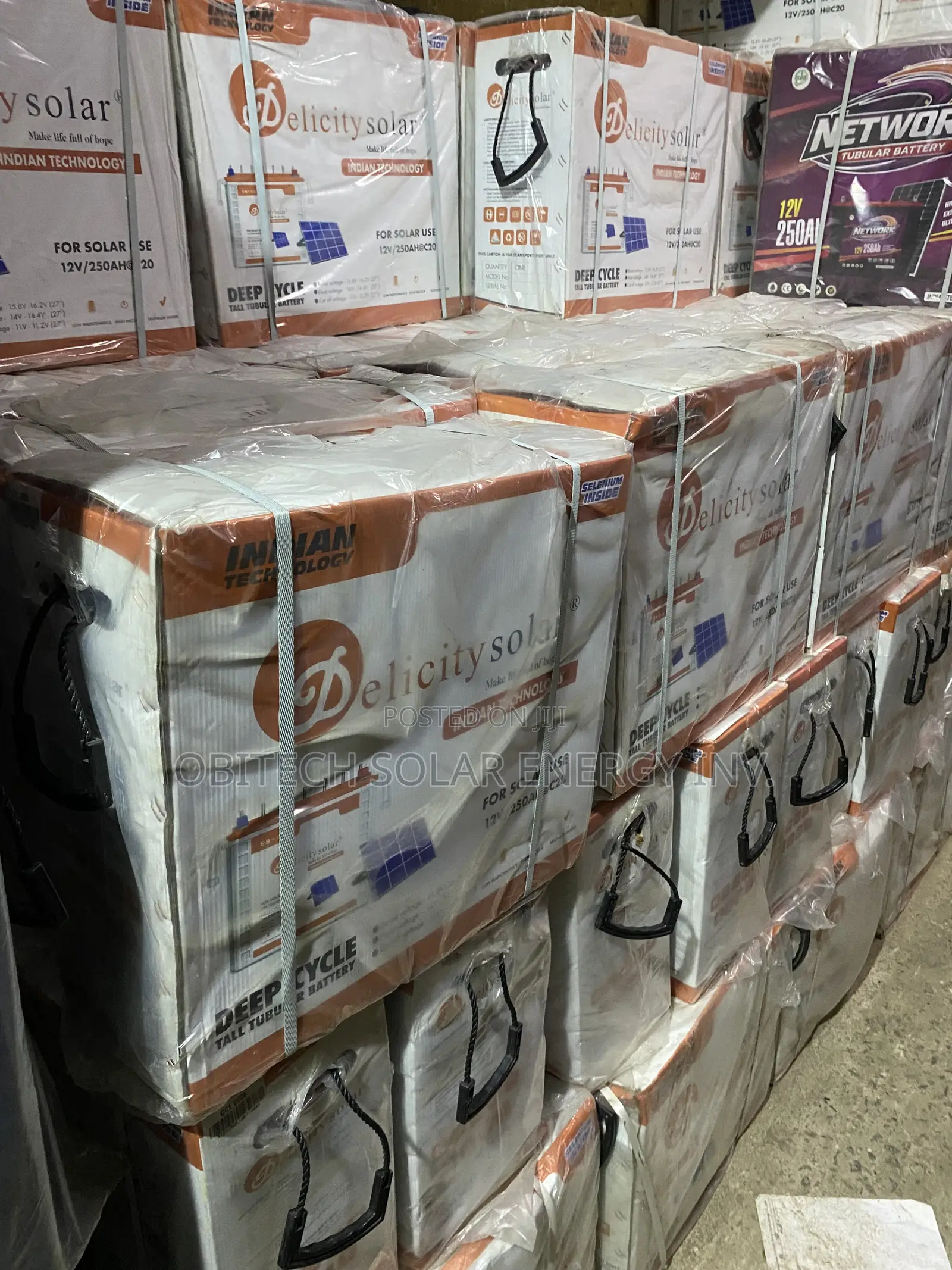 Delicity Tubular Battery