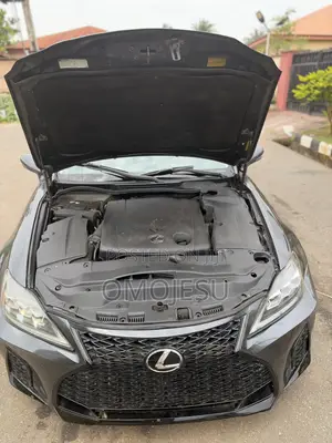 Lexus IS 250 AWD Automatic 2010 Gray