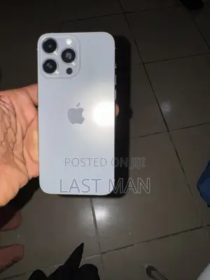 Apple iPhone 15 Pro Max 256 GB Silver