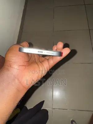 Apple iPhone 15 Pro Max 256 GB Silver