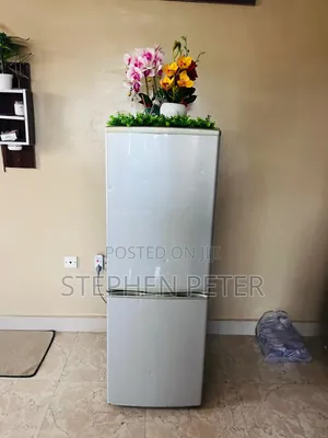 170L Exquisite Double Door Bottom Freezer Refrigerator