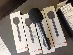 Handheld Stick Mic