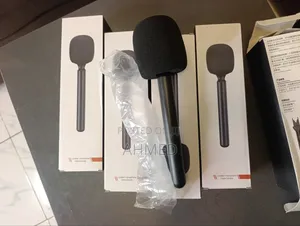 Handheld Stick Mic