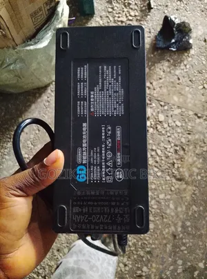 Charger for Electric Bike