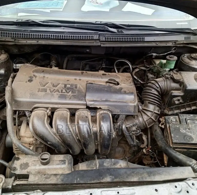 Toyota Corolla 2004 Gray