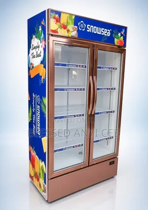 New Snowsea Display Showcase Chiller (700L)For Business Fast Freezing