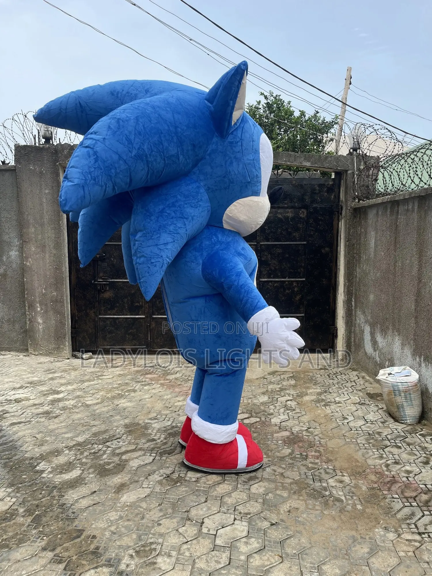 Big Size Inflatable Sonic Costume