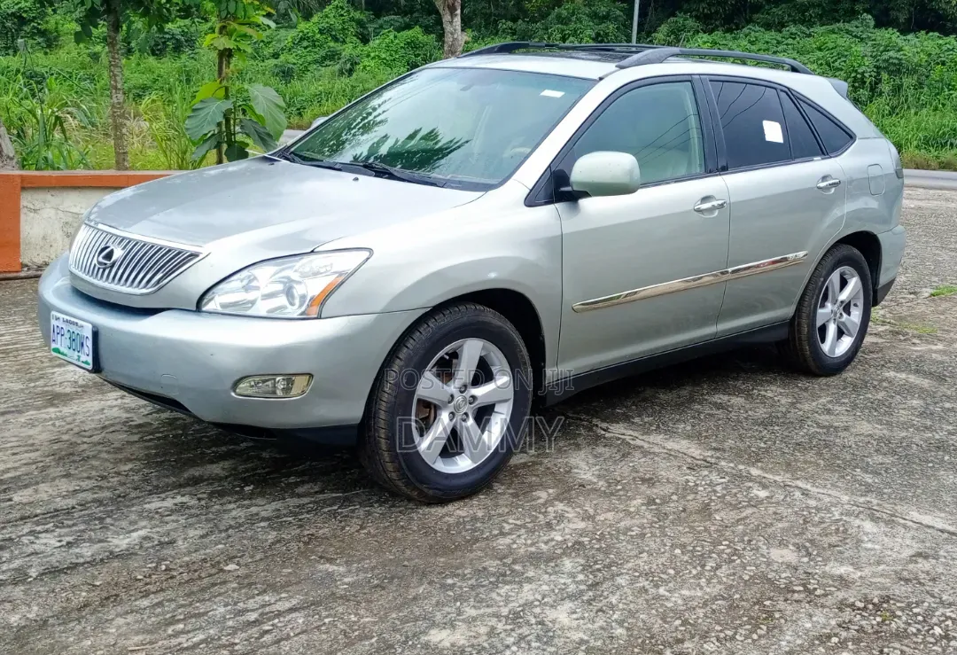 Lexus RX 2008 Gray