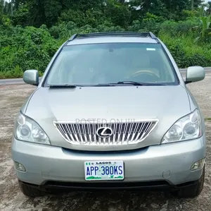 Lexus RX 2008 Gray