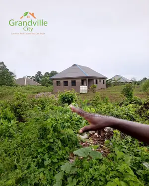 Half Acre Land for Sale Ilaro - 3 Plots