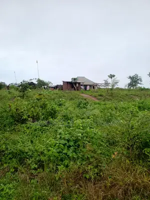 Half Plot Land Ilaro 250sqm N2M All Inclusive - Free Docs