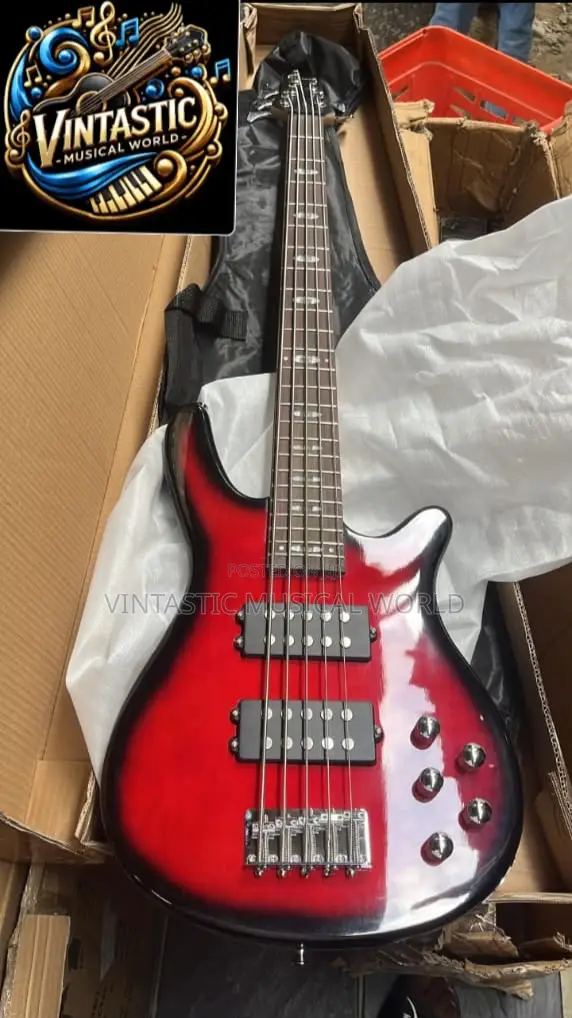 Ibanez Gio 5 Strings Passive Bass Guitar