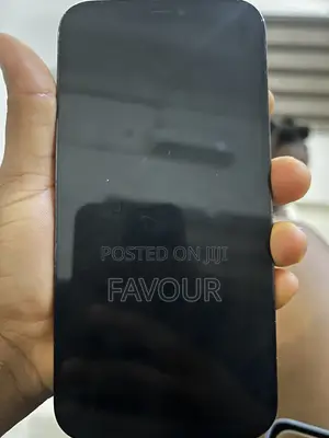 Apple iPhone 12 Pro Max 256 GB Blue