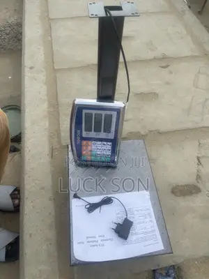 100kg Digital Scale