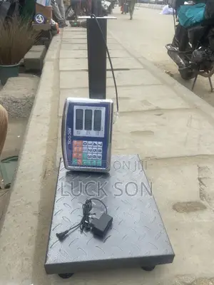 100kg Digital Scale