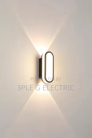 Luxury Modern LED Outdoor Wall Fixture