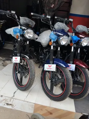 New Denstar Taurus 2026 Black