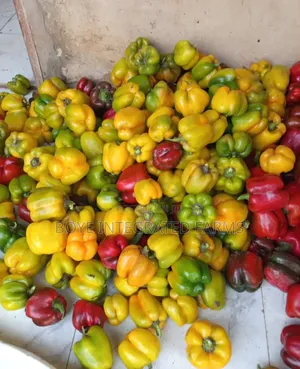 FRESH Farm Produce Like; Plantain, Vegeables, Tomatoes, Pepper, Garri