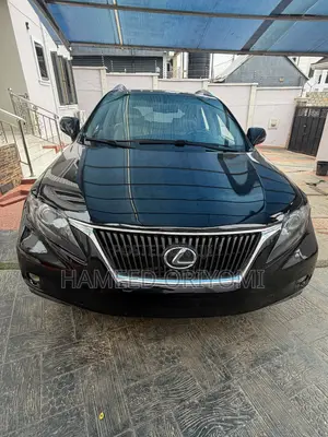 Lexus RX 2010 Black