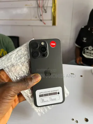 Apple iPhone 15 Pro Max 256 GB Gray