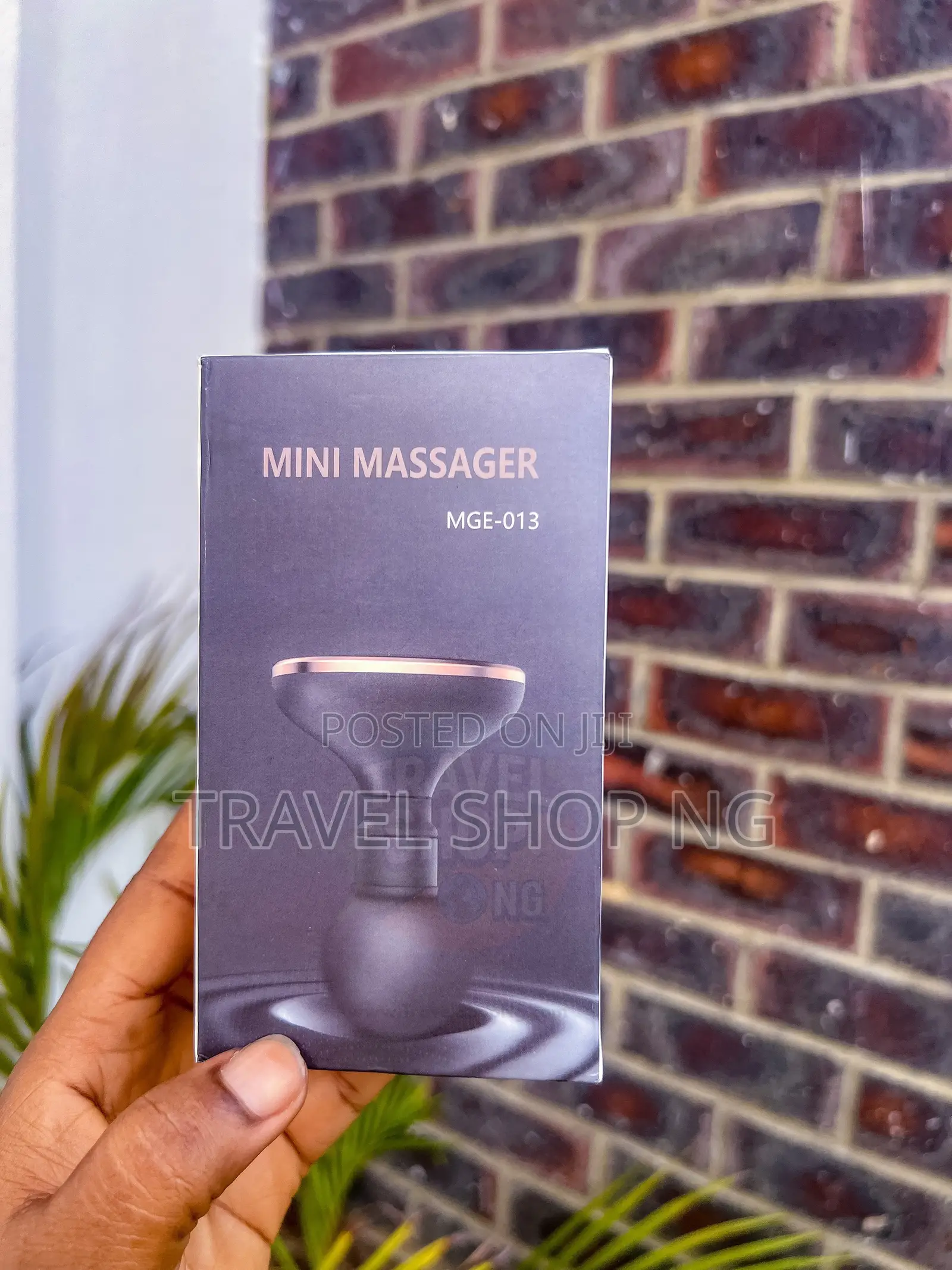 Mini Massager