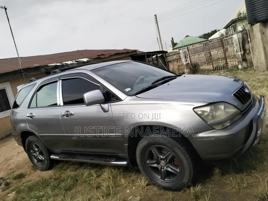 Lexus RX 2004 Gray