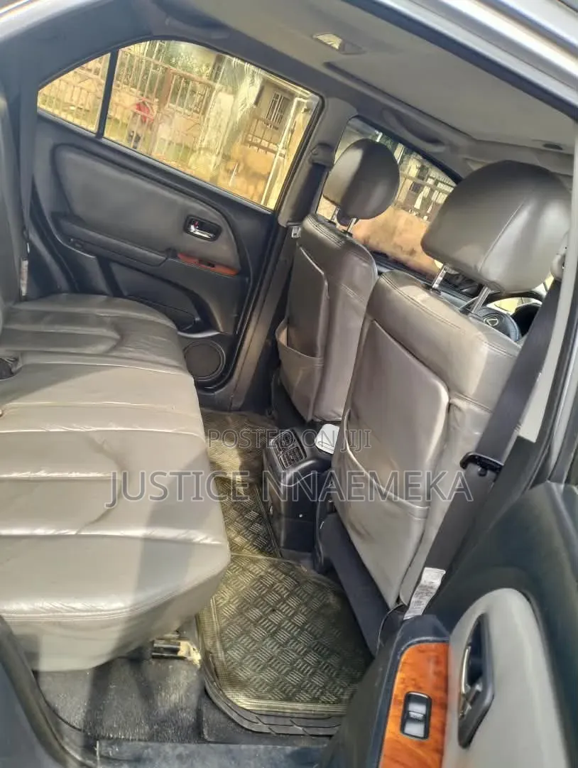 Lexus RX 2004 Gray