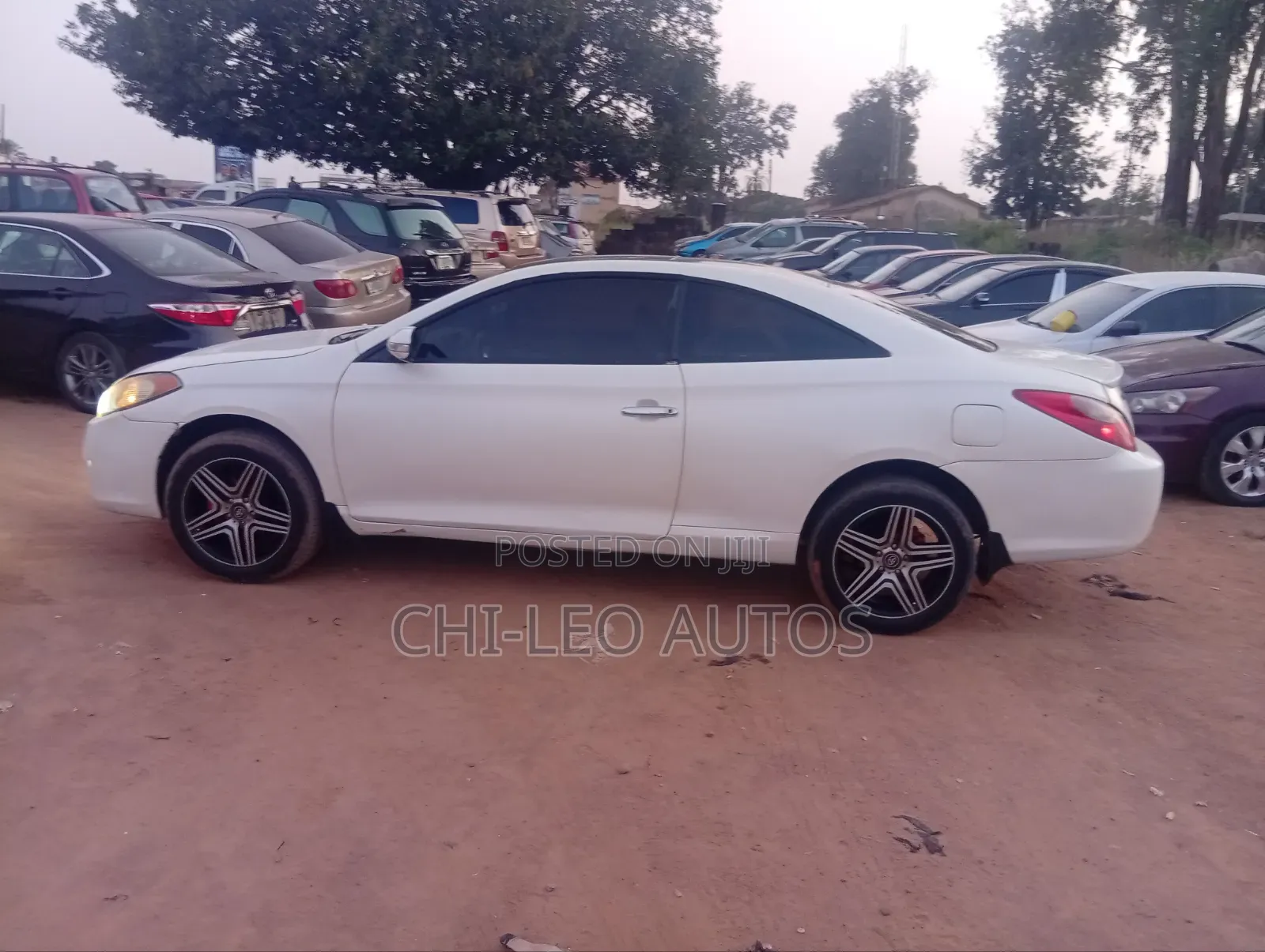 Toyota Solara 2008 White