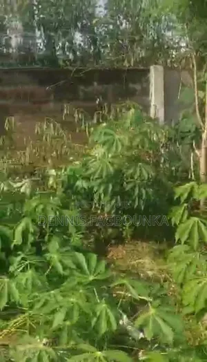 A Plot of Land