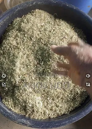 Organic High-Protein Rabbit Feed Mash & Forage