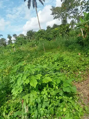 Full Plots of Land Measuring 60by120 for Sale in an Exposed Area.