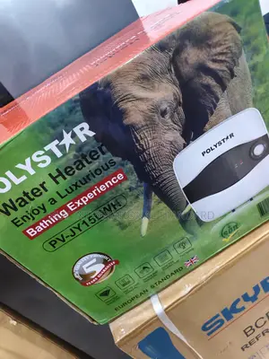 Polystar PV-JY15LWH Quality-Focused Bathroom Water Heater